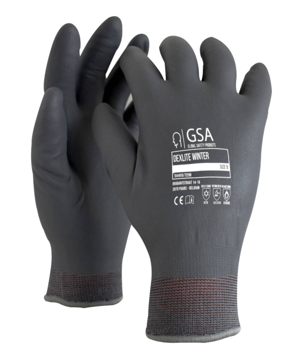 Handschoen Dexlite Winter