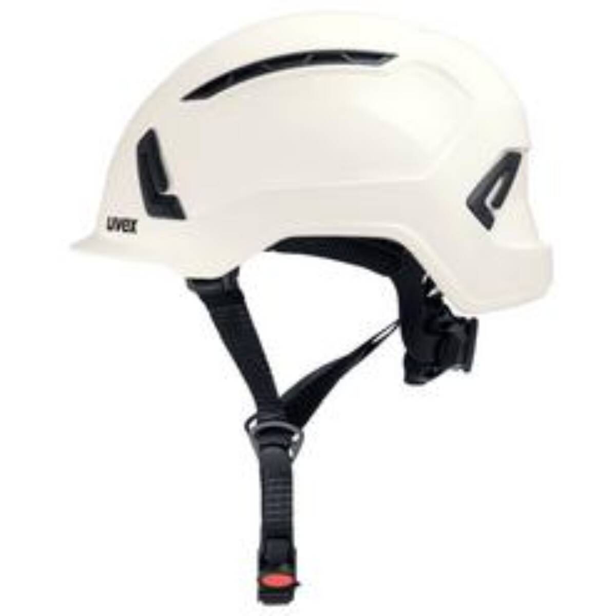 Helm Uvex Pronamic Alpine
