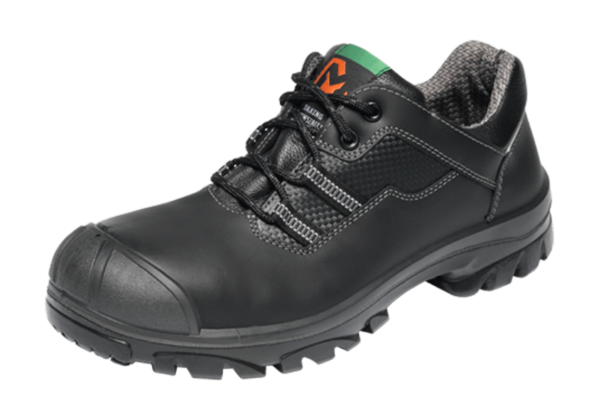 Lage Schoen Ray S3 WR SRC