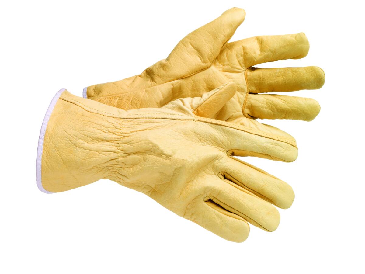 Handschoen Ice Cap