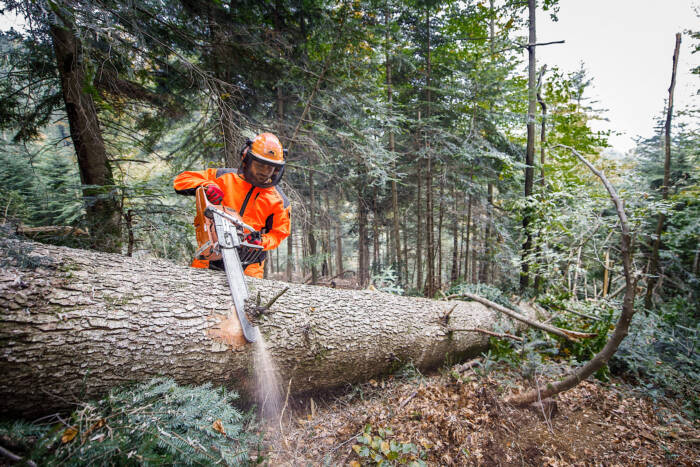 man using his chainsaw on a fallen tree