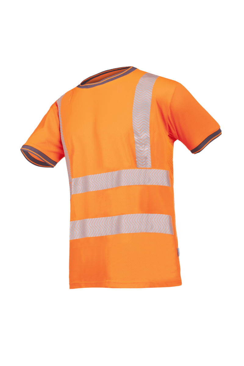T-Shirt Signa Pulcini