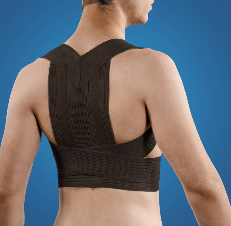 Back support brace black Limbs Vandeputte Safety Experts
