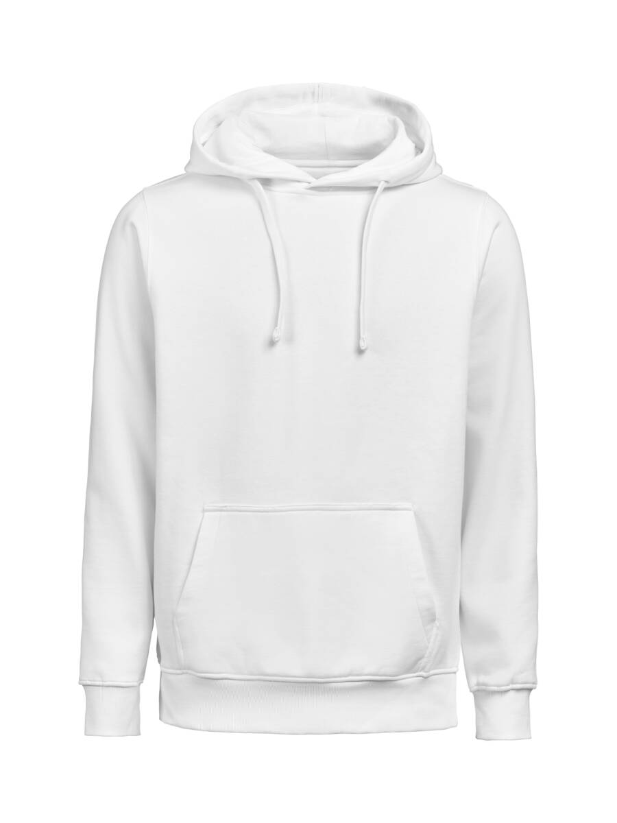 Hoodie Regular Um Ocs/Rcs