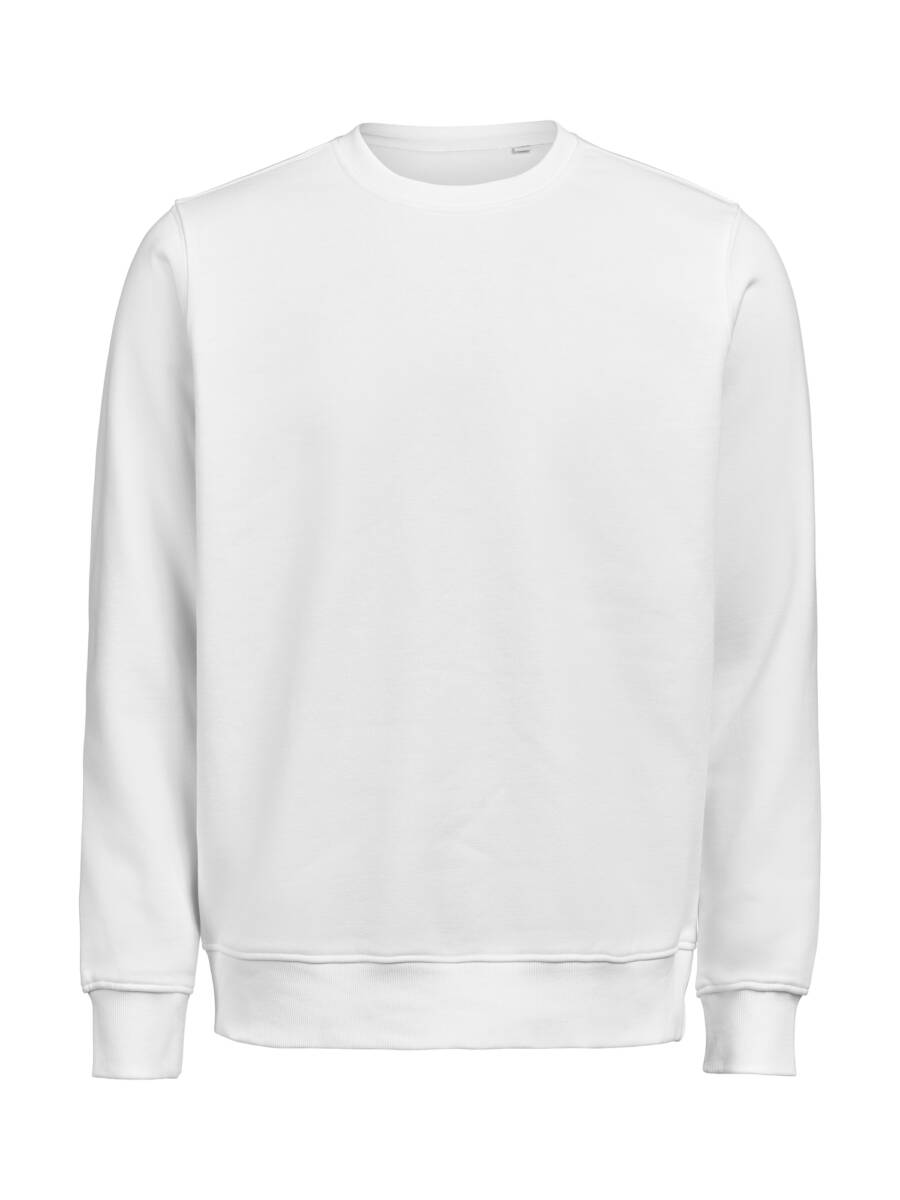 Sweater Regular Um Ocs/Rcs