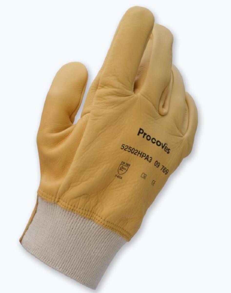 Handschoen Electra Plus