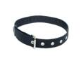 CEINTURE UTILITAIRE XL/3XL