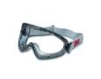 GOGGLE 2890A CA BLANK AD