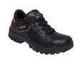 HALBSCHUH NEW BAS S3