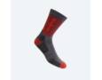SOK LOGO MOTION 8423 ROOD