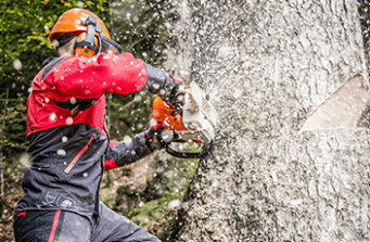 How to Safely Operate a Chainsaw: 10 Potential Risks You Should Consider