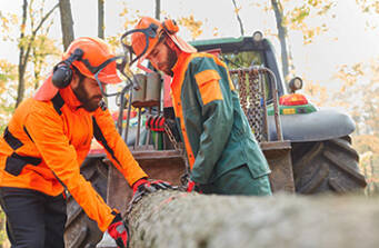 Hoe monteer ik gehoor- en gelaatsbescherming op een helm? 