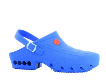 CLOG AUTOCLAVE OXYCLOG ELEC BLUE OB ESD