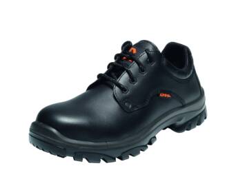 HALBSCHUH ROY S2 SRC