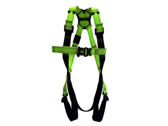 HARNESS 2-POINT FS209