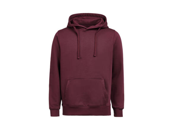 HOODIE REGULAR UM OCS/RCS