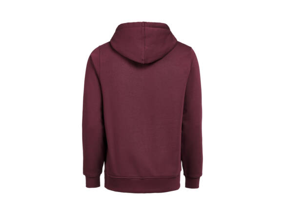 HOODIE REGULAR UM OCS/RCS