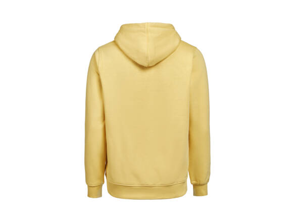 HOODIE REGULAR UM OCS/RCS