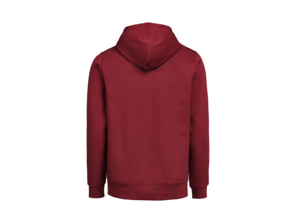 HOODIE RITS REGULAR UM OCS/RCS