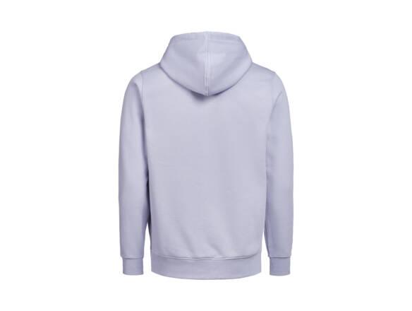 HOODIE RITS REGULAR UM OCS/RCS