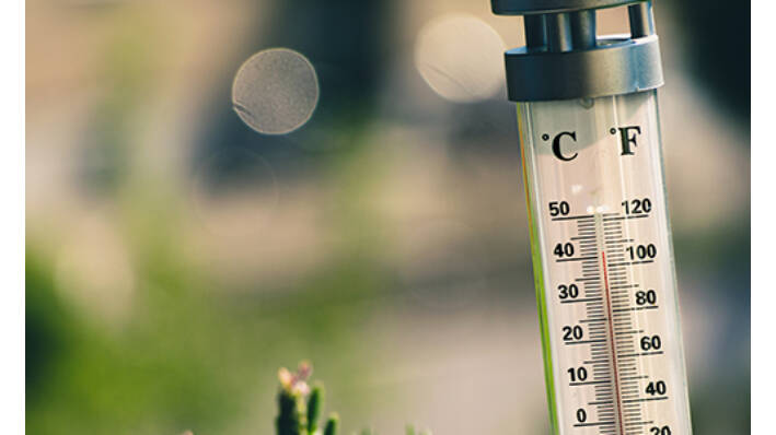 7 frisse tips om koel te werken bij warm weer