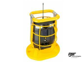 METAL CAGE BW RIGRAT