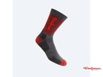 CHAUSSETTE LOGO MOTION 8423 ROUGE