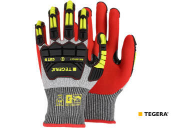 HANDSCHOEN TEGERA 422