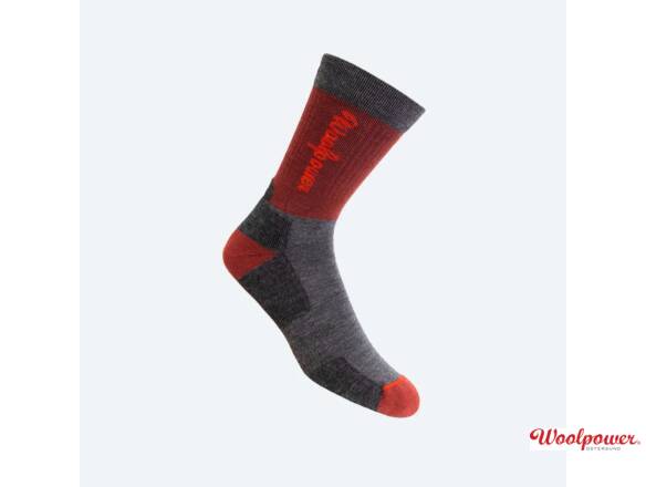 SOK LOGO MOTION 8423 ROOD